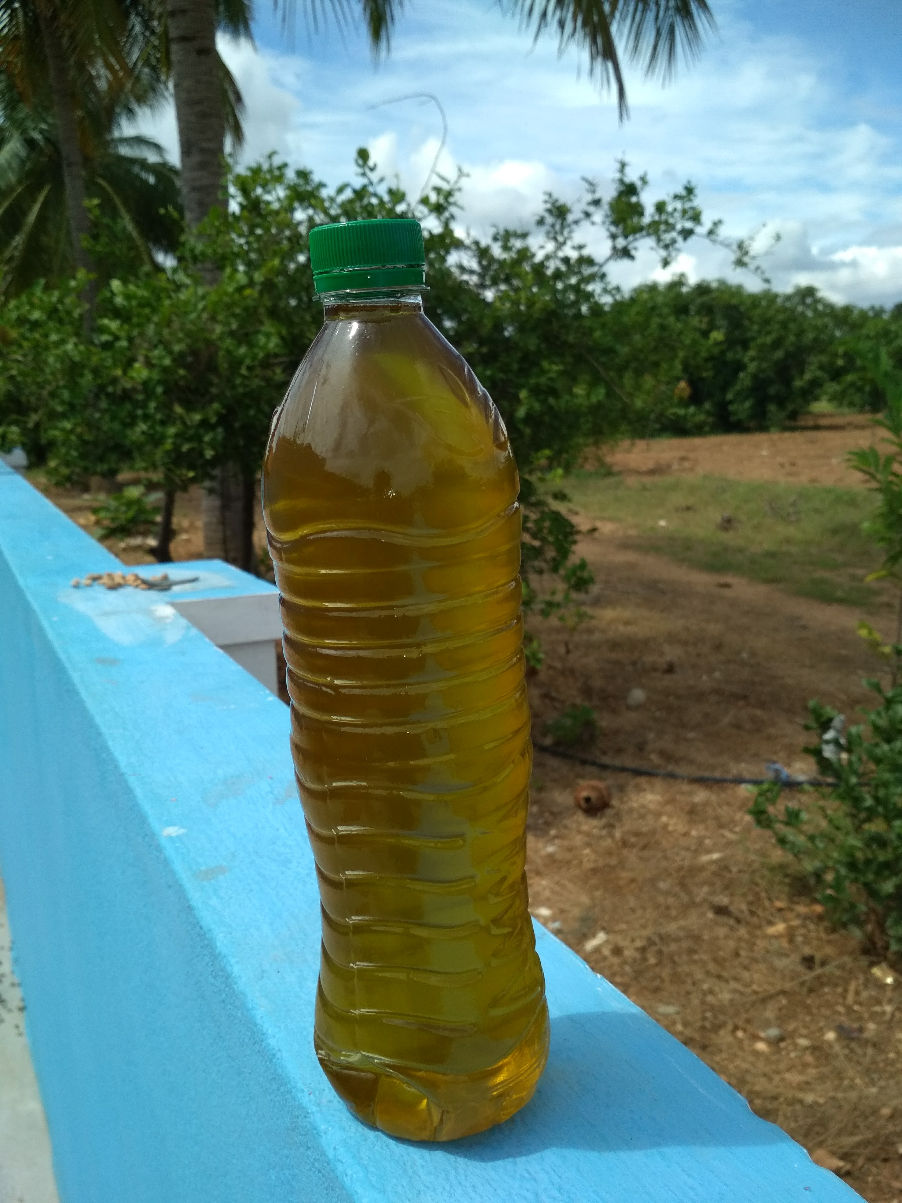 Herbal coconut hair oil
